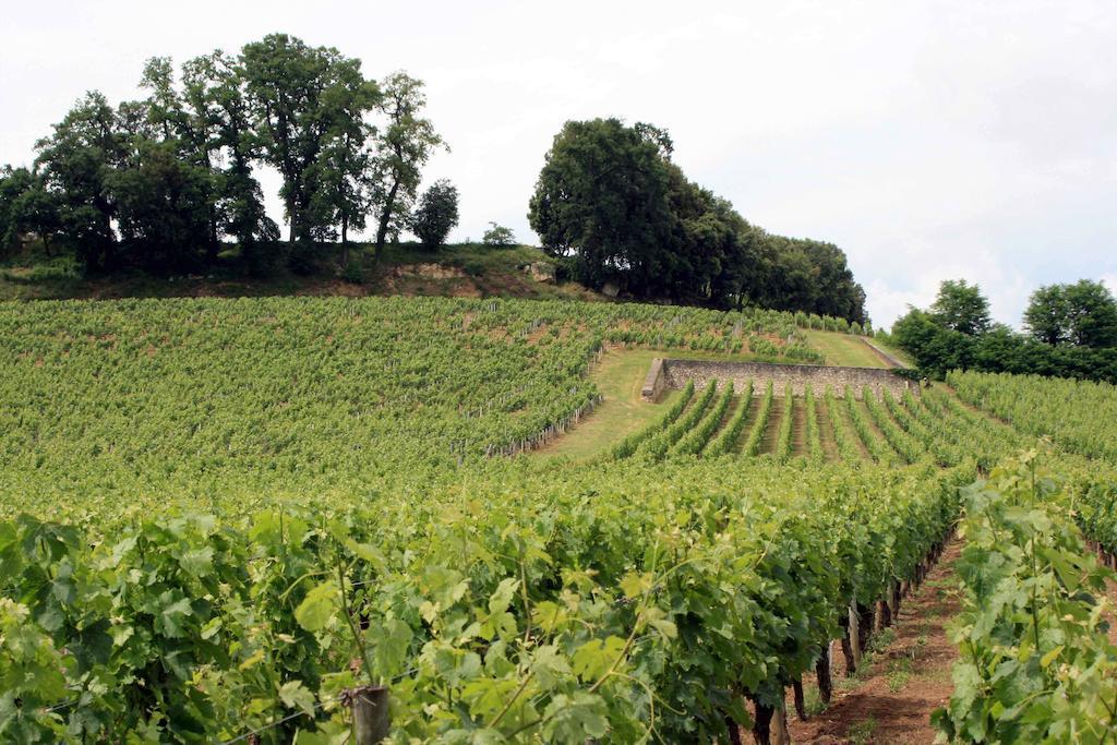La Residence Les Grands Vignobles リブルヌ 部屋 写真
